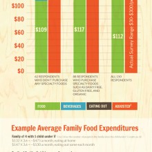How much do families spend on groceries